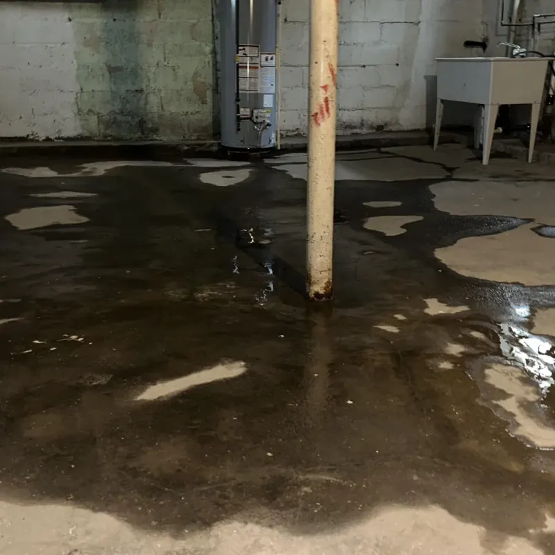 Emergency Water Extraction And Removal in Amite, LA